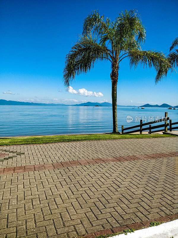 边境上有椰子树和FLorianópolis的木板路，可以看到大海