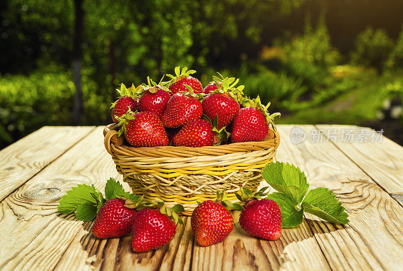 草莓篮，草莓篮，草莓木桌，草莓，草莓篮，草莓，草莓在自然背景，水果概念，新鲜草莓