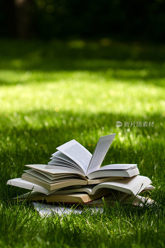 在绿色公园的草地上看书