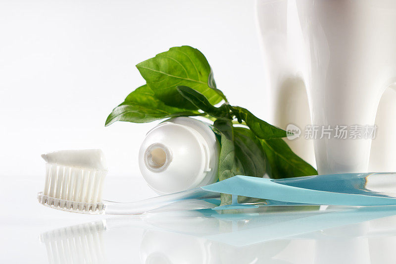 一个草药牙膏在牙刷上的特写与白色健康的陶瓷牙齿模型，管和绿色草药孤立在白色背景与复制空间。牙科保健的概念。