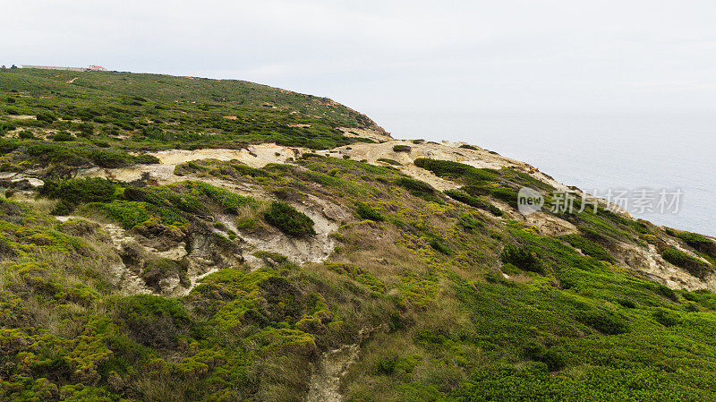 沿海希思景观