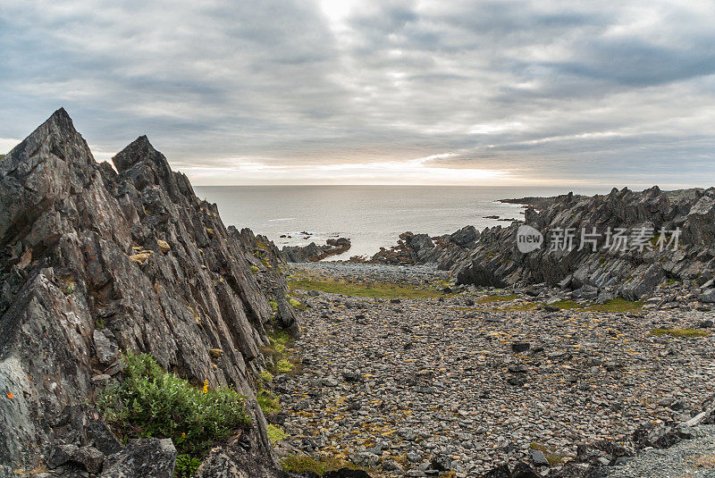 巴伦支海沿岸的岩石悬崖，Varangerhalvoya国家公园，Varanger半岛，挪威，芬兰马克
