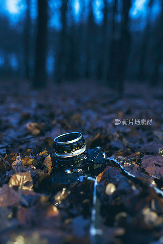 冬日黄昏，老式单反相机躺在枯叶上。