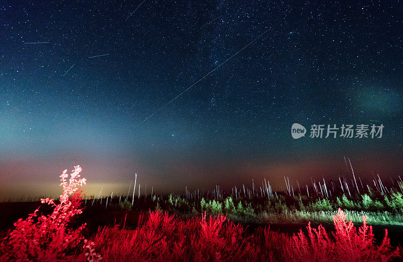 英仙座流星雨。拍摄于乡村地区