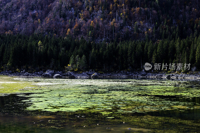 美丽的湖迪富辛山湖在秋天和曼加特山，朱利安阿尔卑斯山，意大利