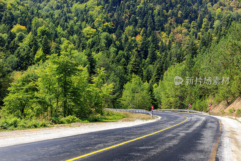 弯曲的森林道路