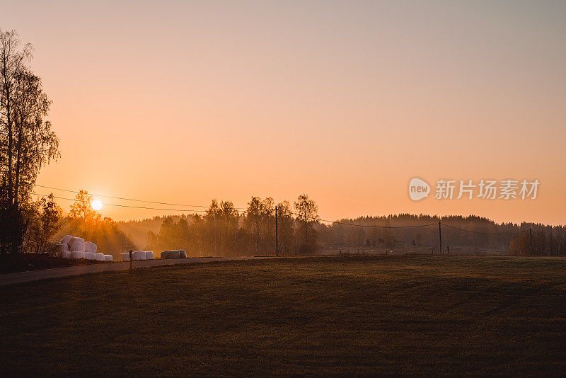 美丽的秋天自然景观在十月日出雾