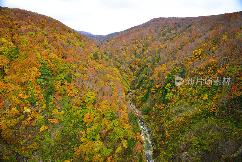 日本青森市日仓峡谷的秋色