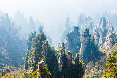 张家界国家森林公园