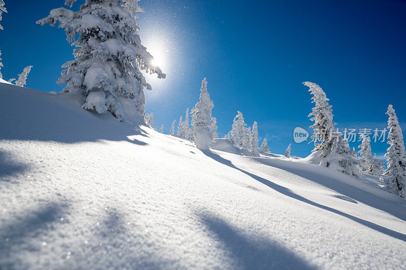 滑雪的背景