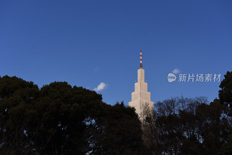 在晴朗的天空下，原宿区的摩天大楼的景色