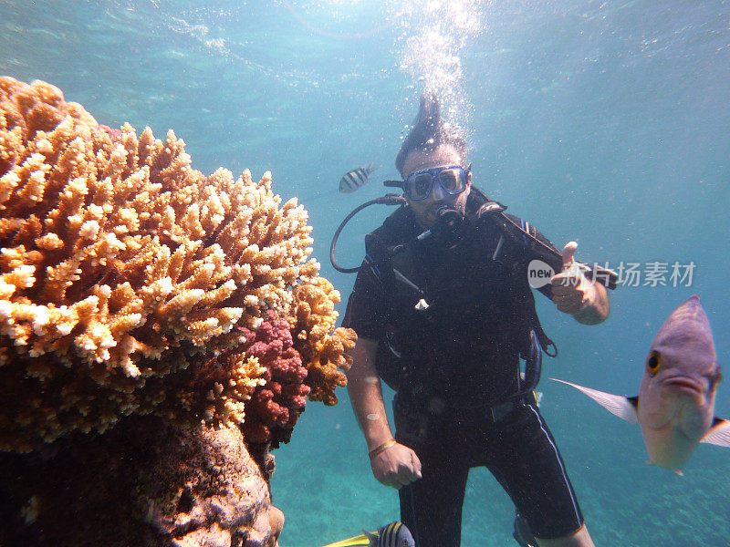 潜水探索珊瑚海