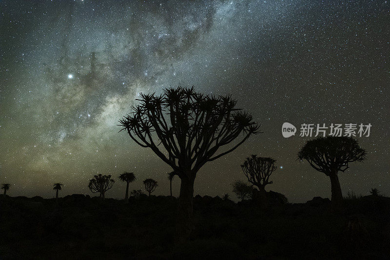 纳米比亚南部箭袋树森林上空的银河