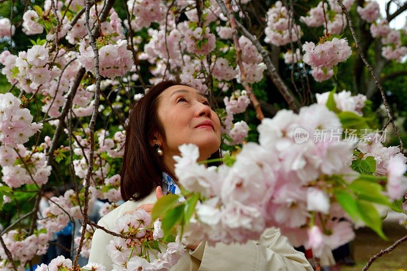 日本女子在东京赏樱花