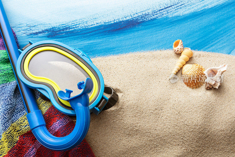 夏天:水肺面具和贝壳静物