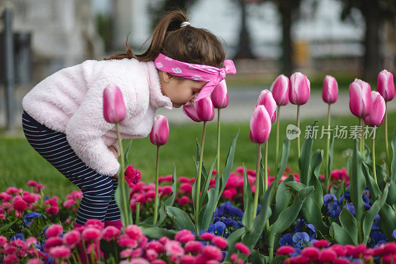 快乐的小女孩闻着当地公园里美丽的郁金香花