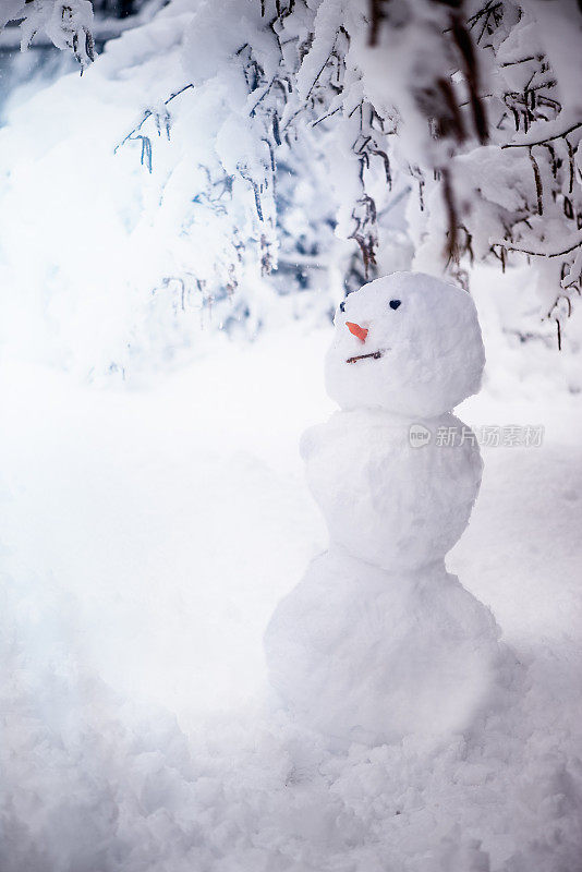 孤独的雪人