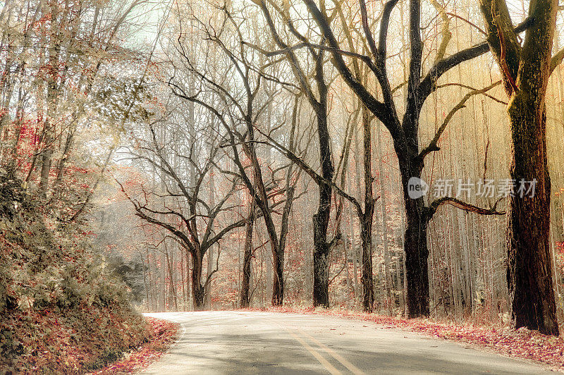 在阿巴拉契亚山脉的明亮秋日-乡村道路;秋叶的颜色