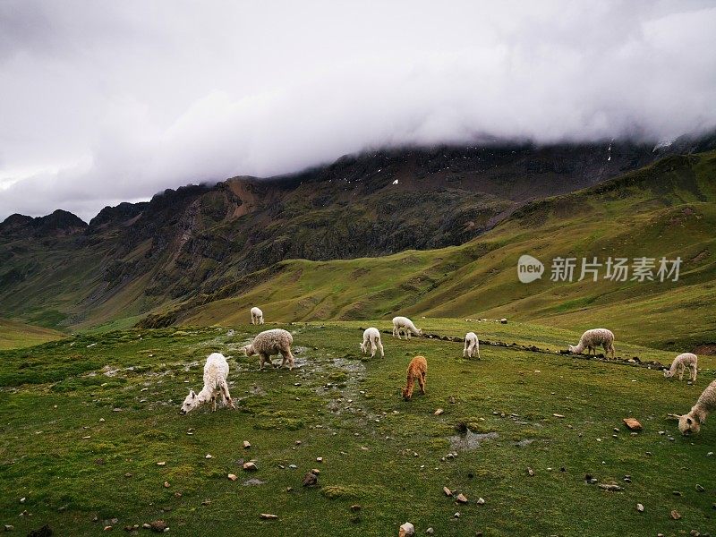 彩虹山