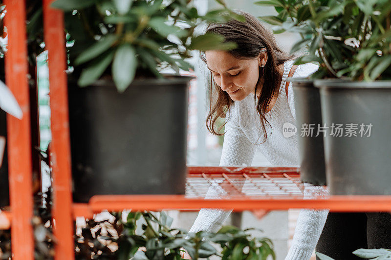 女人买植物