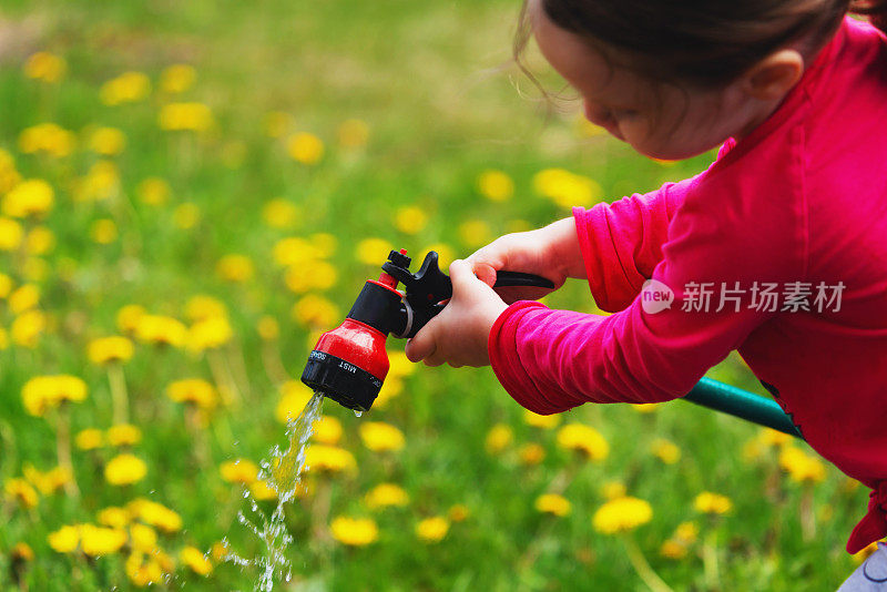 女孩浇水蒲公英