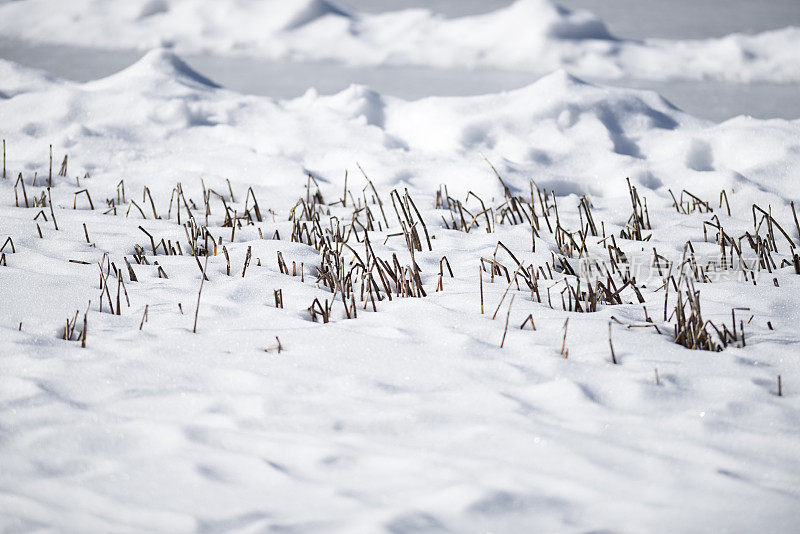 结冰的池塘或冬天被雪覆盖的小湖