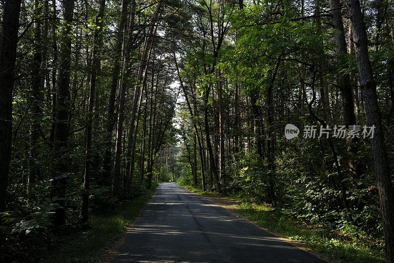 乡间小路