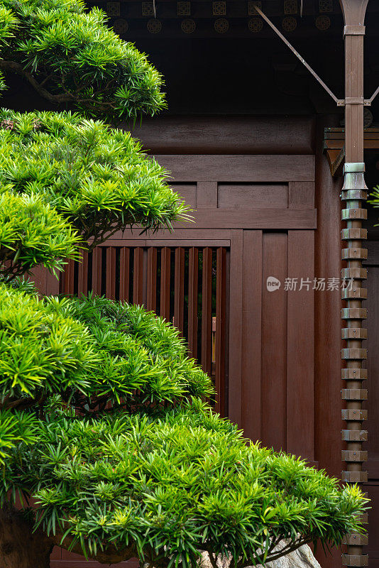 智莲庵是位于香港九龙钻石山的大型佛教寺院建筑群。