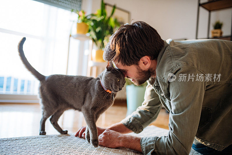 英俊的千禧一代男子在冠状病毒隔离期间拥抱猫