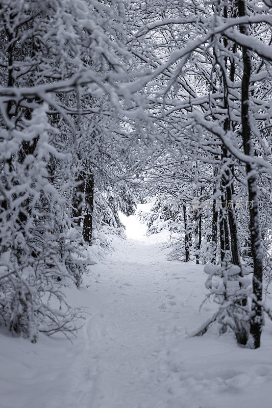 美丽的雪山冬季景观