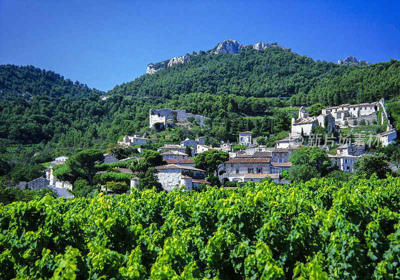 葡萄园村法国南部普罗旺斯欧洲葡萄酒业