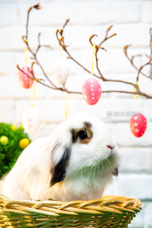 小白兔坐在篮子里，粉红色的彩蛋装饰挂在树上。