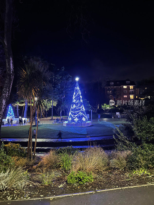 白色LED星状顶饰在大型户外圣诞树上，装饰有蓝色的仙女灯装饰，夜晚的天空