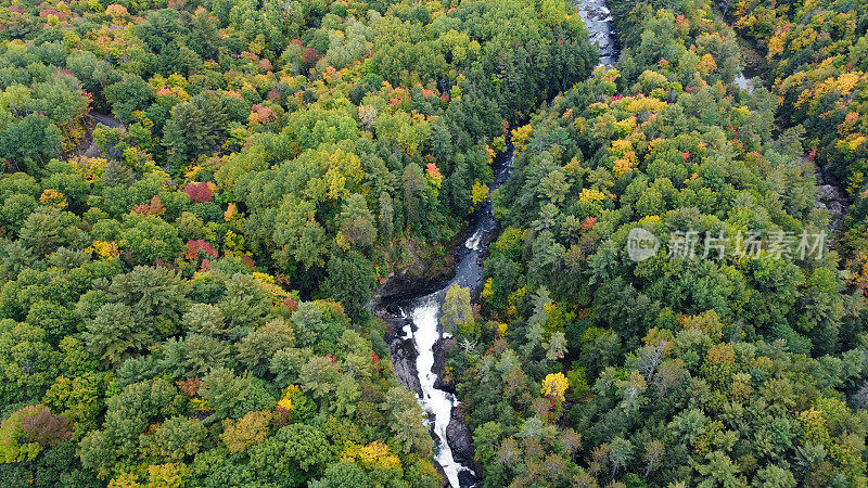 秋季北方森林自然与河流鸟瞰图