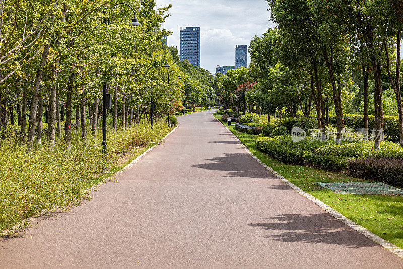 城市公园人行道和现代摩天大楼的背景