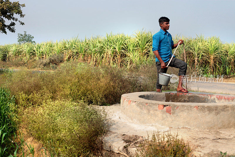 农民从绿色田野附近的水井里汲水