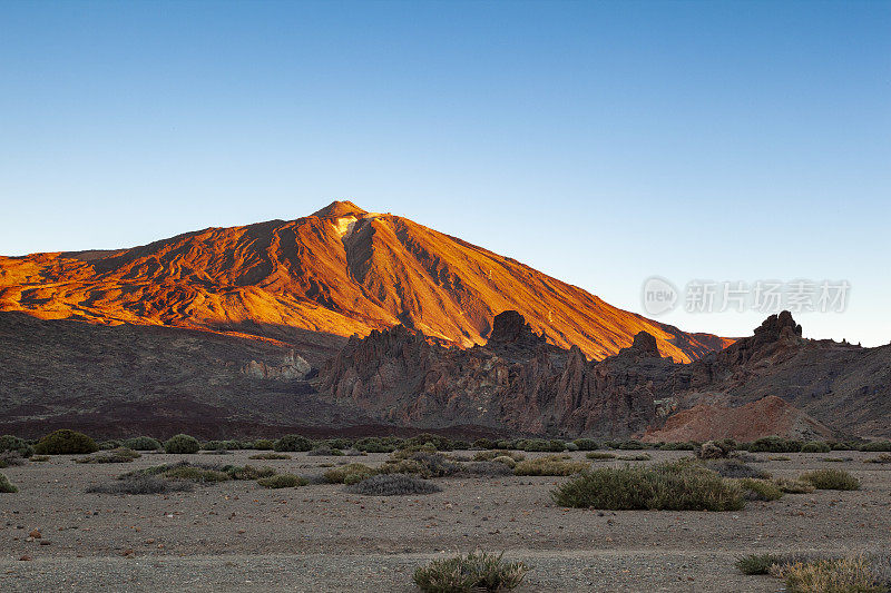 黎明的泰德火山，泰德国家公园，联合国教科文组织世界遗产，特内里费岛，加那利群岛，西班牙，大西洋，欧洲