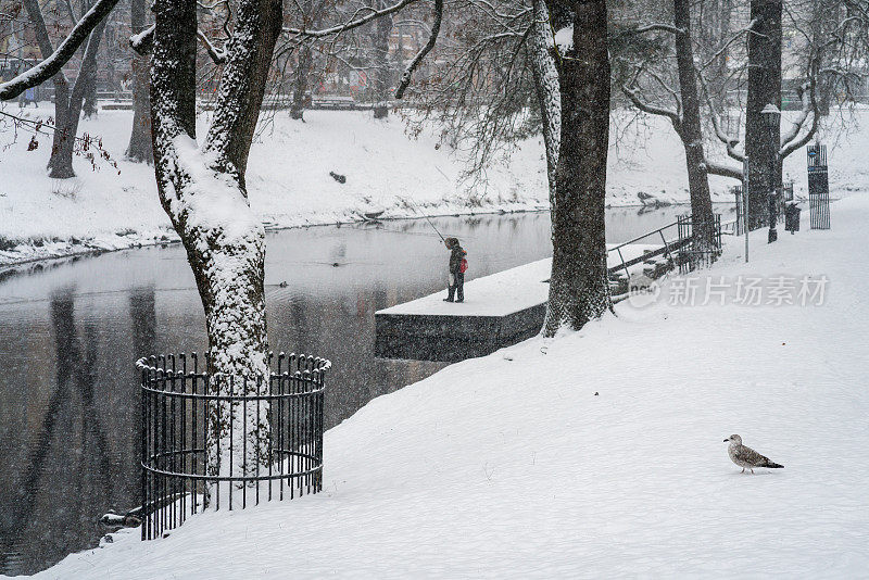 拉脱维亚里加冰雪公园的冬季景观