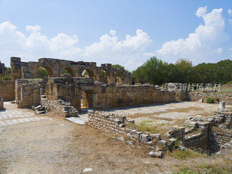 春草古城，aydın。火鸡