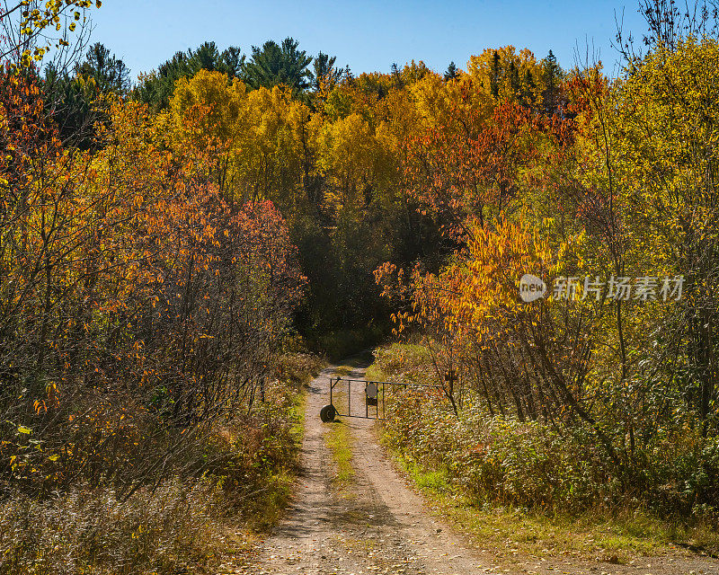 秋天的风景——有门的土路旁的五颜六色的树