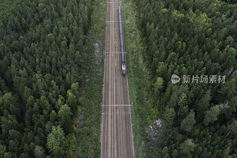 火车在森林景观的铁路上