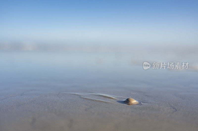 空空如也的海滩，景深有限