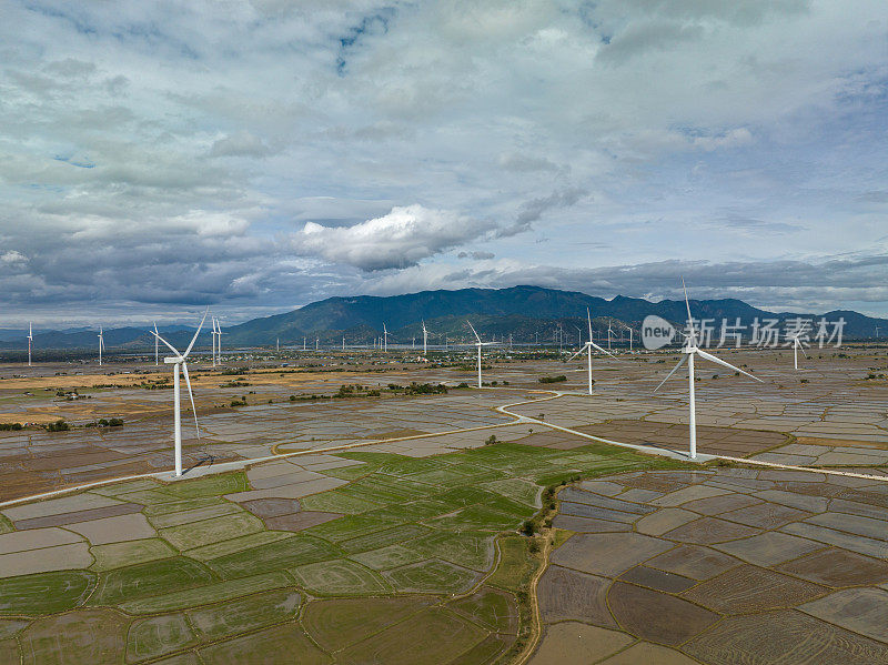 坝奈风力发电机农场在稻田上