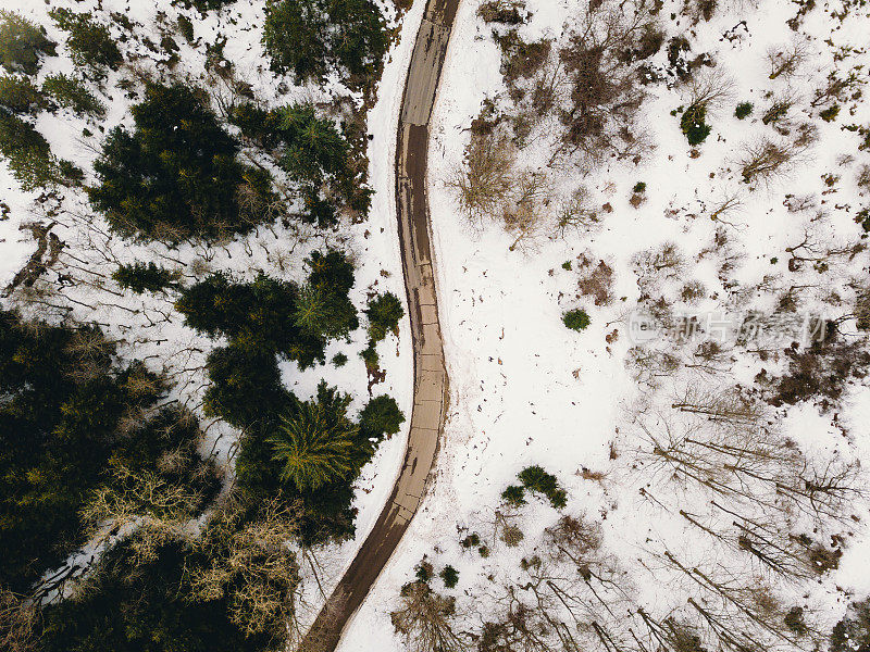 森林中道路的鸟瞰图，两侧有雪