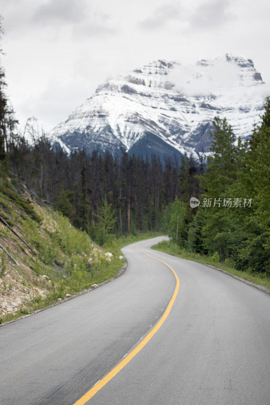 POV汽车行驶在空旷的道路在加拿大落基山脉在夏天，加拿大