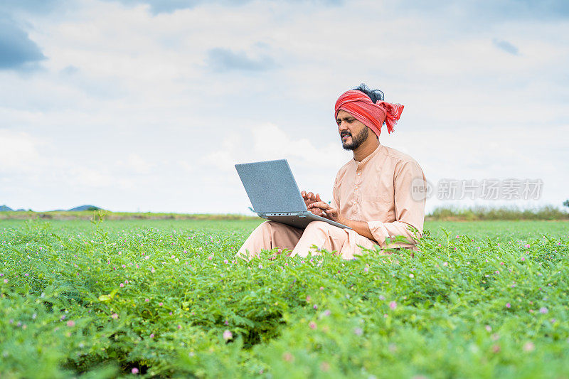 年轻的印度农民坐在农田上忙着用笔记本电脑工作——技术、数字通信和现代农业的概念