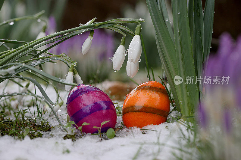 在雪地里寻找复活节彩蛋