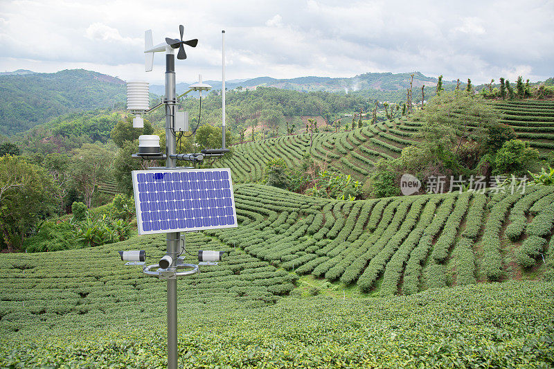 绿茶田气象站，5G技术，智慧农业概念