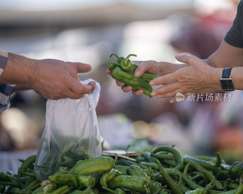 在农贸市场挑选蔬菜的人手特写照片