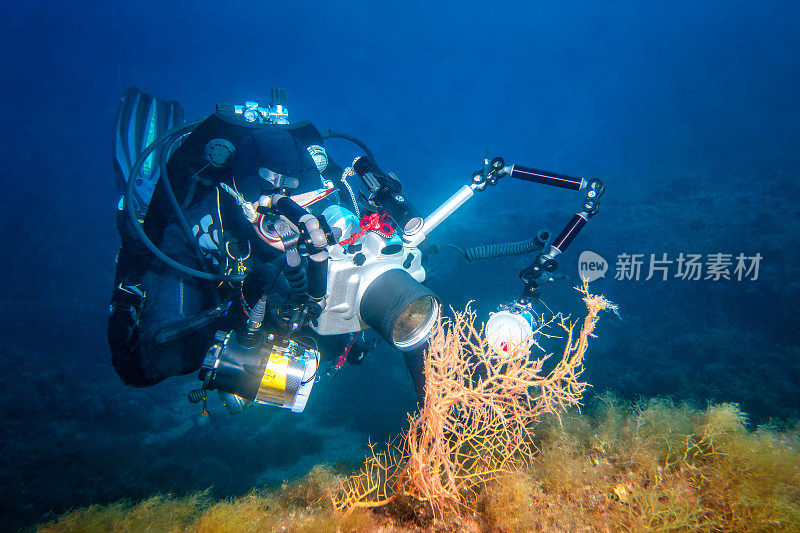 潜水摄影师垂死的珊瑚